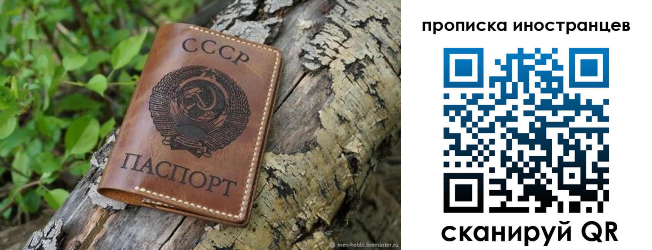 прописка гарантия в Брянске